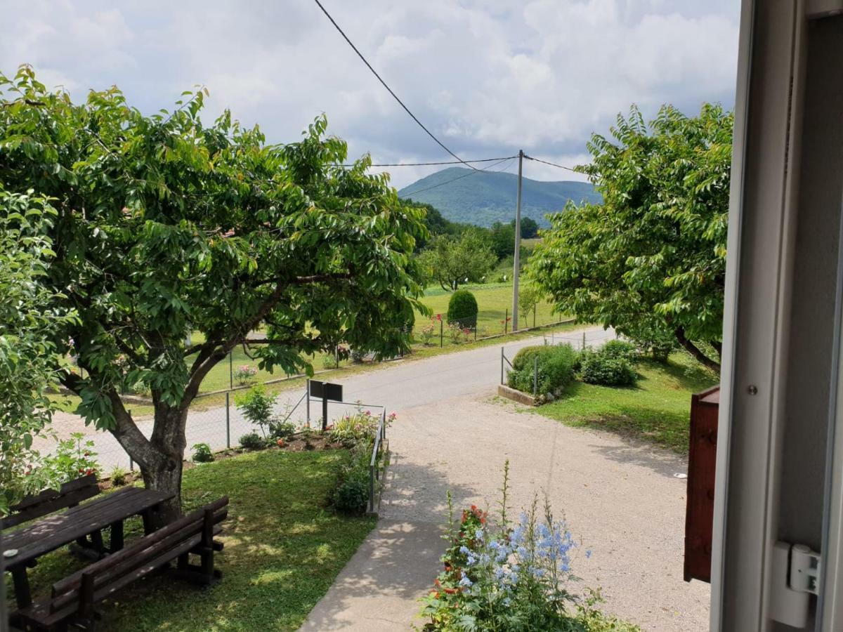 Apartman Laura Smoljanac Buitenkant foto